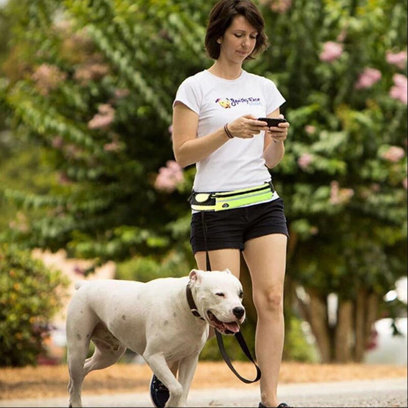 Hands Free Dog Leash Pet Walking And Training Belt With Shock Absorbing Bungee Leash For Up To 180lbs Large Dogs Phone Pocket And Water Bottle Holder - Trend finder