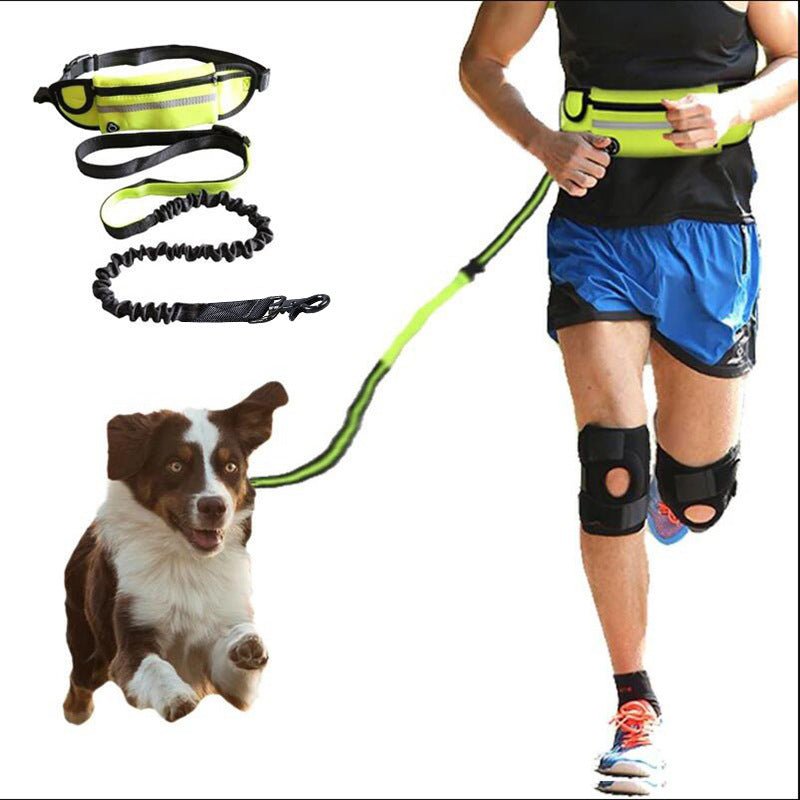 Hands Free Dog Leash Pet Walking And Training Belt With Shock Absorbing Bungee Leash For Up To 180lbs Large Dogs Phone Pocket And Water Bottle Holder - Trend finder