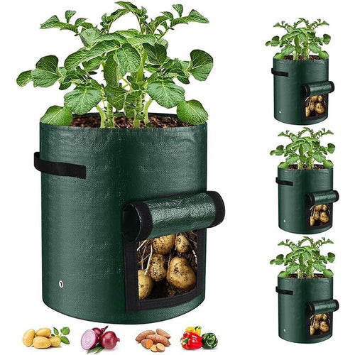 10 Gallon -6 Pack Potato Grow Bags, Heavy Duty PE Fabric Pots With Flap And Handles, Green Planter Bags For Potato Vegetables Outdoor Garden, For All Plants Growing - Trend finder