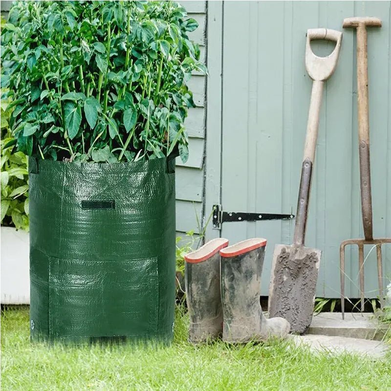 10 Gallon -6 Pack Potato Grow Bags, Heavy Duty PE Fabric Pots With Flap And Handles, Green Planter Bags For Potato Vegetables Outdoor Garden, For All Plants Growing - Trend finder